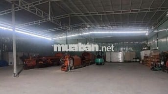 Thuê kho bãi Quận 7, DT 1000m có tường xây kiên cố đẹp - chuẩn.