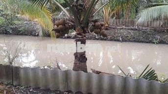 Nhà vườn 4000m2, vềTrung tâm Cần Thơ 30p, đường tỉnh 928, Giá 3.5 tỷ