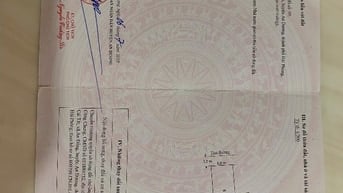 Chính chủ bán nhanh nhà biệt thự sân vườn đẹp