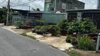 💵 Đất 5x25 mặt tiền nhựa Hưng Long , Bình Chánh 