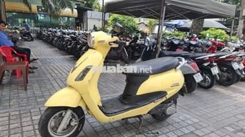 Xe alizabet nguyên gin