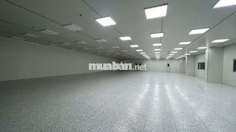 Cho Thuê 1.300m2 Nhà Xưởng Mới Trong KCN Mỹ Phước Bến Cát Bình Dương