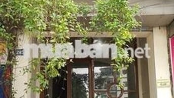 Chính chủ cho thuê mặt bằng 30m² tầng 1 mặt đường Hoàng Hoa Thám