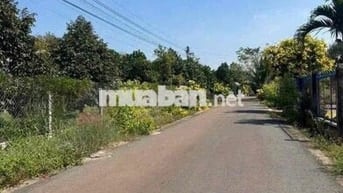 🌼 CÔ TUYẾT NHƯỢNG LẠI LÔ ĐẤT ĐẸP– AI NGHE CŨNG GIẬT MÌNH 🌼