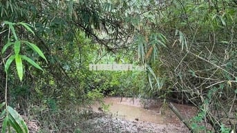 180 TRIỆU – 2 SỔ ĐỎ – 2.700m² GIÁP SUỐI PHÚ YÊN