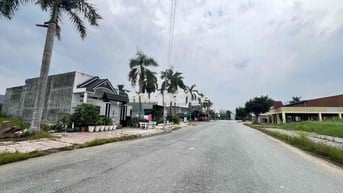 Đất kdc Cát Tường Phú Thạnh Đức Hoà  Đường nhựa 6m