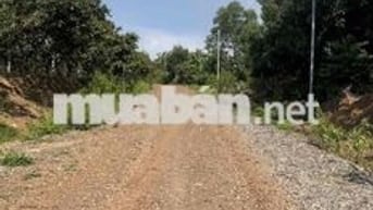 CẦN BÁN ĐẤT TRỒNG CÂY - HỒ TRỊ AN