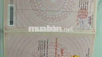 dãy nhà trọ gồm 14 phòng , gác lửng, có bêp, nhà vệ sinh