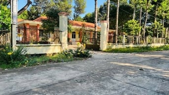 Bán Đất Sát UBND xã An Linh, 300m2 thổ, Giá 780 triệu, Gần Chợ An Linh