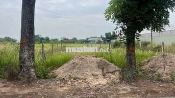 🔥 BÁN ĐẤT MẶT TIỀN ĐOÀN MINH TRIẾT – XÃ THÁI MỸ, CỦ CHI ĐƯỜNG THÔNG 🔥