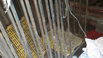 THANH LÝ CHUỒNG CHÓ GHI ĐỐC 304 ĐỨC GIANG LONG BIÊN 