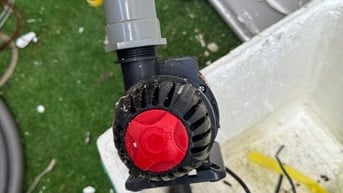 Thanh lý giá rẻ. Hết nuôi cá Koi nên cần thanh lý 