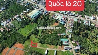 CẦN BÁN ĐẮT SỔ HỒNG FULL THỔ CƯ 113 M2 GẦN TP BẢO LỘC