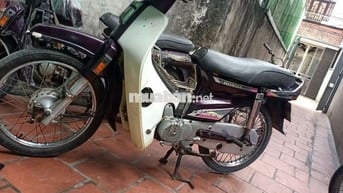 Honda Dream II Tím Trắng