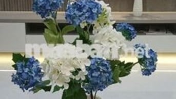 SIÊU PHẨM PHAN THANH 5 PHÒNG NGỦ, NỘI THẤT CAO CẤP 88M2