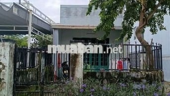 Bán nhà cấp 4, 2 mặt tiền đường rộng 6m đối diện NVH Bình Kỳ 1