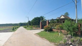 Cần bán gấp nền đất 215m² mặt tiền đường nhựa, dân cư đông đúc