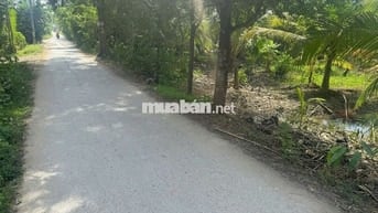 🎉 Đất đẹp Thạnh Ngãi, Mỏ Cày Bắc, Bến Tre
