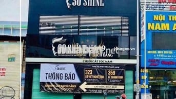 🔥 Nguyên căn Bạch Đằng Bình Thạnh SEO ROẺ🔥