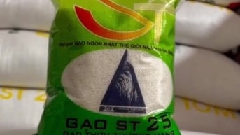 GẠO ST25 LÚA TÔM SÓC TRĂNG ĐẶC BIỆT NGON DẺO DAI HẠT