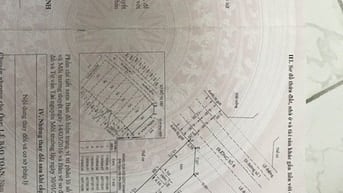 bán biệt thự cần giờ chính chủ