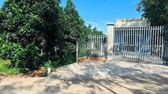 Bán ngộp vườn mít thái 680m2 thổ cư 300m2 giá rẻ, ngay chợ, uỷ ban