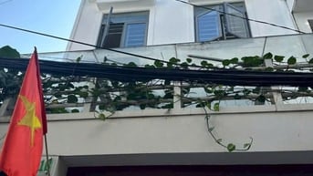 Bán gấp HXH Quận 1, nhà mới, NTCC trệt 4 lầu, 29tỷ