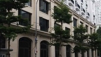 [CHính chủ] tôi cần bán căn Liền Kề, Mp Chùa Láng, dt 120 m, 7T, Mt 5 
