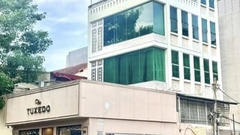 CHO THUÊ NHÀ GÓC 2MT BÙI THỊ XUÂN 8x20 Trệt 2 Lầu P.Bến Thành QUẬN 1