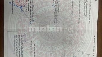 Bán nhà 7 tầng thang máy ngõ 204 Đội Cấn Ba Đình Hà Nội 