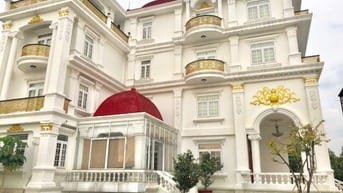 BÁN BIỆT THỰ CỔ ĐIỂN SÂN VƯỜN QUỸ ĐẤT LỚN HIẾM CÓ QUẬN 12