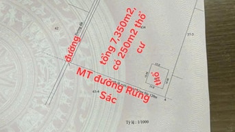 Bán 7,350m2 có 250m2 thổ, 2MT Rừng Sác, Bình Khánh, Cần Giờ