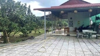 Bán mảnh đất 2541m2 có nhà cấp 4 ngay UBND Tân Hiệp .Giá 650triệu