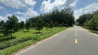 CHỦ GỬI 1,6 HA ĐẤT VƯỜN CÓ SẴN CÂY ĂN TRÁI TRÊN ĐẤT GẦN KCN TRƯỜNG HỌC