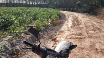 Bán ĐẤT CAO SU 2MT, đường 4m& 6m, kế KCN Chà Là, rào B40, 1,8 tỷ/ha