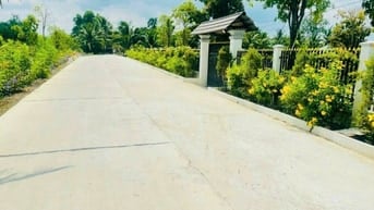 450 triệu hết sổ 1000mv ( 20 x50 ) đường 7 chỗ Thạnh Hoà - Bến Lức