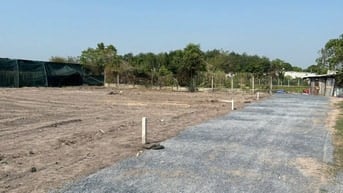 🏯 Chỉ từ 790tr/lô (290m²) SỞ HỮU ngay lô đất gần ngay trung tâm trảng
