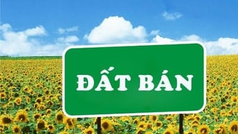 Bán đất kinh doanh mặt phố Đỗ Nhuận, gần công viên Hoà Bình