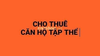 Cho thuê nhà tập thể ngõ 5 Láng Hạ, diện tích 30m2
