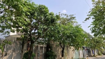 Bán đất thổ cư-Mặt tiền-rộng 5m-gần Tô Ký-giá nhỉnh hơn 4 tỷ
