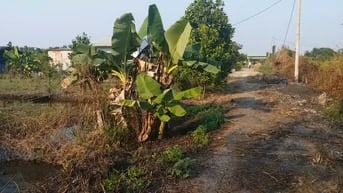 Cần bán lô đất đường Kênh 5 - Vườn Thơm, X. Bình Lợi