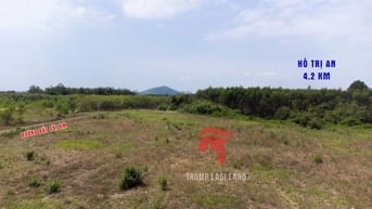 bán đất 2000m2 có 100m thổ cư, Thanh Sơn, Định Quán, Đồng Nai. Giá Rẻ