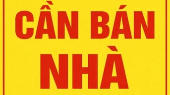 BÁN NHÀ HOÀNG VĂN HỢP. NHÀ TỈNH LỘ 10. NHÀ KHIẾU NĂNG TĨNH