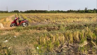 Ngộp bán rẻ lô đất hẻm 2.940m² thuộc Tân Nhựt, Bình Chánh giá 1,2tr/m²