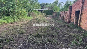 5x38(tc50)Đất Phường Thành nhất( khánh xuân cũ),đường nguyễn khoa đăng