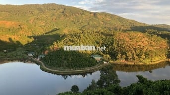 Đất hồ view tuyệt đẹp cho homestay, farmstay và nhà nghỉ dưỡng
