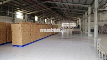 Cho thuê kho xưởng 1.800m2 Nguyễn Hữu Trí, Bến Lức, Long An