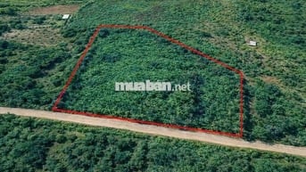 BÁN ĐẤT VIEW HỒ ĐẸP – MẶT TIỀN ĐƯỜNG LỚN – GIA CANH, ĐỊNH QUÁN