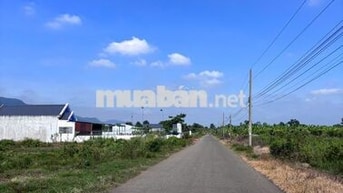 🏡 CHỦ NGỘP BÁN CẮT LỖ LÔ ĐẤT HÒA LONG – SỔ RIÊNG, SẴN THỔ CƯ 