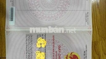 Bán CCMN Hào Nam. Cát Linh- Sổ Hồng Từng Căn. Nội Thât Đẹp Gần Mặt Phố
